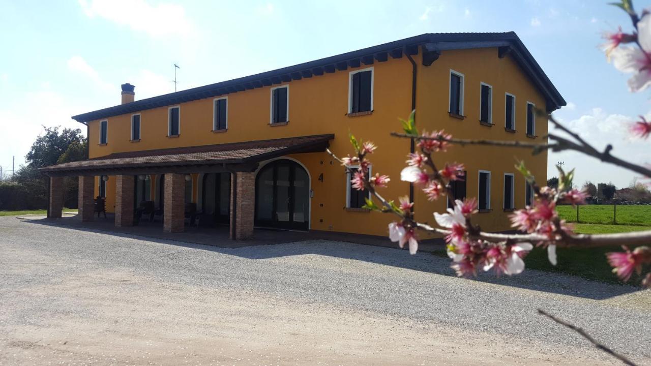 Agriturismo Borgo Borromeo Рубано Экстерьер фото